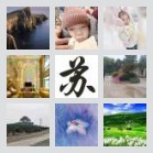 南乐寺庄梁村元村一郑州拼车群