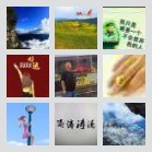 陕西人在广东奋斗者
