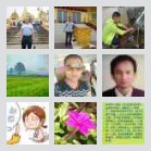 南伞司机俱乐部