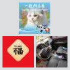东莞回湖北拼车群