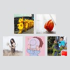 同乡顺-金山陆家嘴往返顺风车群