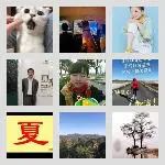 苏南，上海--盐城，阜宁