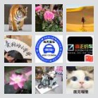 淮阳—郑州拼车