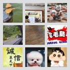 酉阳—福建往返群