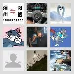 同乡顺-滨州拼车群