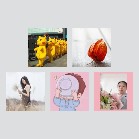 同乡顺-新郑机场濮阳往返顺风车群