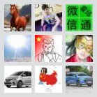 颍上~阜阳~上海拼车