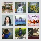 太康往返郑州拼车群🌹🌹🌹见