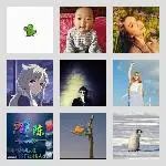 同乡顺-阜阳⇋杭州拼车群