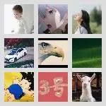 同乡顺-阳江⇋深圳拼车群