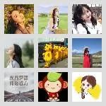 同乡顺-崇明⇋长宁拼车群