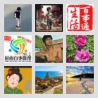 屏南拼车群