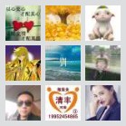 北京濮阳清丰南乐老乡群