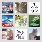 同乡顺-深圳市区往返机场顺风车群