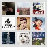 同乡顺-三门峡洛阳往返顺风车群