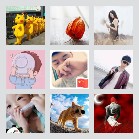 同乡顺-顺德深圳往返顺风车群
