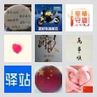 同乡顺-湖州扬州往返顺风车群