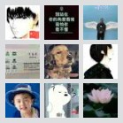 同乡顺-闵行长宁往返顺风车群