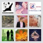 同乡顺-常德岳阳往返顺风车群