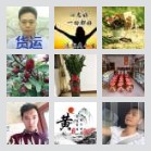 同乡顺-长沙湘西往返顺风车群