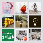 同乡顺-锡林浩特及周边顺风车群