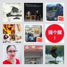 同乡顺-三水及周边顺风车群