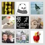 同乡顺-合川拼车群
