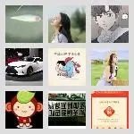 同乡顺-北海⇋深圳